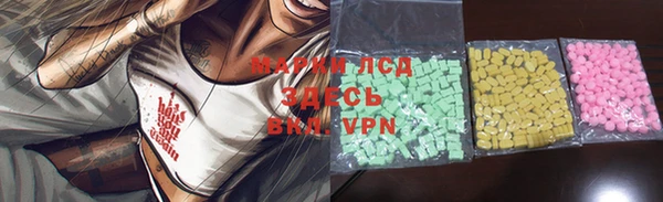 крисы Гусев