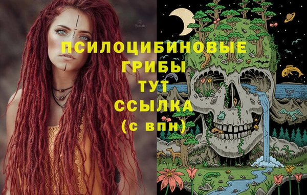 крисы Гусев