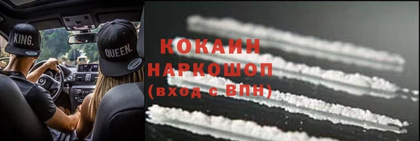 гашик Гусь-Хрустальный