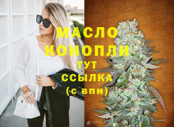 гашик Гусь-Хрустальный