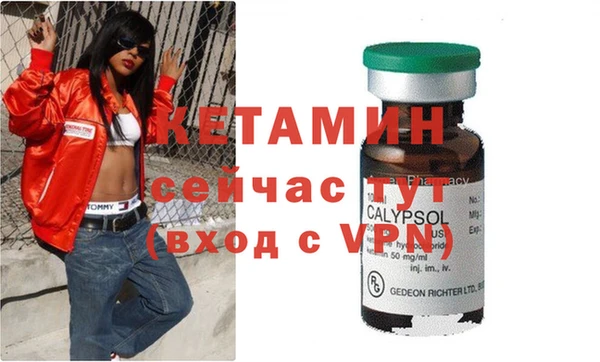крисы Гусев