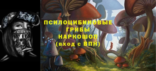 крисы Гусев