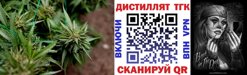 Купить закладки  Короча  Дистиллят ТГК вейп с тгк 