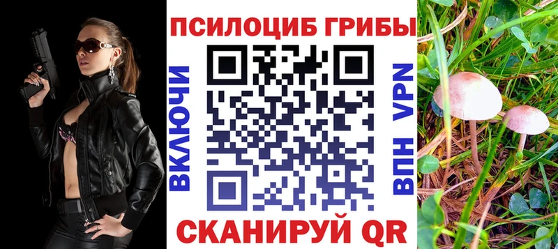 Галлюциногенные грибы мицелий  Купить где  Короча 